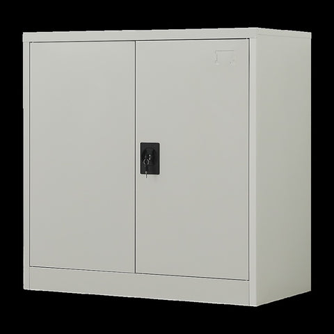 Two-Door Metal Short Cabinet Shelf Storage for Home Office Gym V63-844381