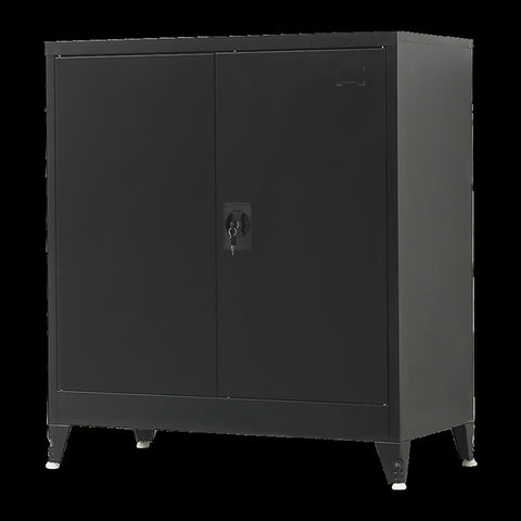 Two-Door Metal Short Cabinet Shelf Storage for Home Office Gym V63-844411