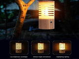 LED Camping Light - Rechargeable Portable LED Tent Light with Built-in Battery V1308-DSZKI-1094