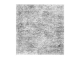 Area Rug, 2743.2 x 3658 mm Large Washable Boho Rug, Non-Slip and Tear-Resistant Soft Carpet, Pet & V952-JXTDDT9X12FTN8946001V0