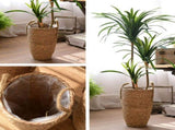 Straw Woven Baskets Vase Ornaments Living Room Flower Arrangements Dried Flowers Wicker Flower Pots V1294-YM0626-230113AH01-2