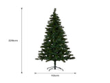 Christabelle 2.3m 7.5ft Lakeland Pine Christmas Tree Pre Lit Multi Function LED Artificial Indo 112_HZLP75