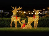 Christabelle 3 Reindeer Family Christmas Light Up Display 1.07m Rich Gold Animated Outdoor Indo 112_SHE205