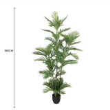 Premium Artificial Potted Multi-trunk Fan Palm 180cm V637-DP1158155