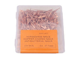 250Pcs Horseshoe Nails Copper Plated Rustproof Equestrian Riding Equipment Pet Supplies 47.5mm E4 V1294-YM0706-3111230194812