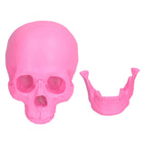 Resin Halloween Skull Decor Festival Home Props Fake Whole Person Skull Ornaments Pink V1294-YM0523-3115210185511