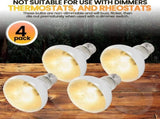 (4-Pack) Bowls and 100W UVA Heat Lamp Bulbs, (2-Pack) Water and Food Bowls and 4-Pack V1258-DP02-C-922