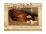 10 Pack Reusable Nesting Box Pads for Chickens Coop,13 x 13 Inches Natural Coconut Fiber for Garden V1366-AZ2-W-15855