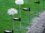 Solar Garden Light Outdoor Dandelion Garden Balcony Decoration Layout Inserted Lawn Lights V1294-YM0512-221105FB02-2