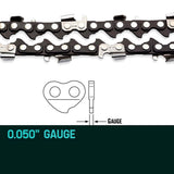 2 X 10 Baumr-AG Chainsaw Chain Bar Replacement for SX25 25CC Arborist Saws V219-CHNCHABMRA10D