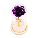 LED Rose Bedside Lamp Glass Night Light Birthday Gift Home Decoration V1294-YM0901-ZM03129-02