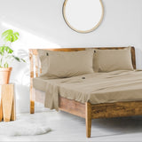 1000TC Cotton Rich SHEET SET - KING V441-SS4056STOKB