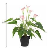 Artificial Flowering White & Pink Peace Lily / Calla Lily Plant 50cm V637-DP1128564