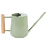 Watering Can Stainless Steel Watering Pot with Wooden Handle for Succulents Plant Type 2 V1294-YM0901-3111250034512