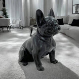 Danny French Bulldog Statue 47cm V637-E144286