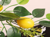 Artificial Lemon Teardrop Wreath Wall Hanging Teardrop Lemon Fruit Wreath Artificial Lemon Swag V1294-YM0714-211231XU01-2