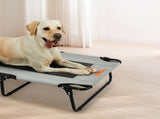 Pawz Pet Elevated Bed Dog Raised Trampoline Foldable Large L Size PT1279-L