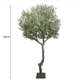 Nearly Natural Extra Large Olive Tree with Olives 285cm V637-DP1223753