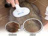 3-in-1 automatic cleaning steam pet brush - anti-static, suitable for long-haired and short-haired V1102-HECW-001