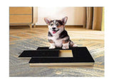 Dog Claw Training Board - File Trimmer Board, Trimming Board, Scratching Box, Sandpaper, Filing, V1237-ZY-203-0243