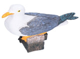 Seagull Figurine Decorations Cute Appearance Vivid Lifelike Exquisite Workmanship Nautical Decor for V1294-YM0523-3115210231711
