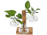 Innovative Hydroponic Vase with Wooden Stand Transparent Desktop Flower Vase for Home V1294-YM0714-3111210271911