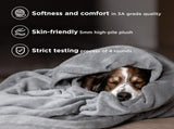 Grey Ultra-Soft Coral Fleece Blanket Lightweight Summer Throw for Office Naps, Air Conditioning, V888-ELOSUNG43133