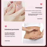Magnetic Foot Massage & Waist Twisting DiscHome Body-Shaping Fitness Equipment, Silent Anti-Slip V1106-ZYNYP001