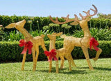Christabelle 3 Reindeer Family Christmas Light Up Display 1.25m Gold Mesh Animated Outdoor Indo 112_SHE206