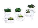 3pcs Simulated Succulent Pot Ceramic Creative Realistic Artificial Succulent Pot for Desktop V1294-YM0901-3115240022411