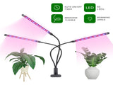 30W 60LEDs Grow Light with Blue Red Light Bulbs 3/9/12H Timer 9 Brightness Leves for Indoor Plant V1294-YM0901-H38354-3