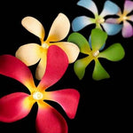 1 Set of 20 LED Tropical Bright Colous Frangipani Flower Battery String Lights Christmas Gift Home V382-TROPFRANGIBATT20