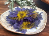 Orku 400g Dried Blue Lotus Flowers - Whole Open Lily Nymphaea Caerulea V238-SUPDZ-40548248191056