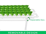 36 Sites Hydroponic Grow Tool Kits Vegetable Garden System 220V Water Pump V201-FDZ1128WH8AU