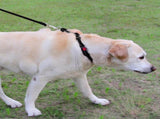 Martingale Dog Collar, 6FT Double Handle Leash for Training, Black V1259-DP01-A-4636