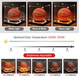 Inner dimensions 15x15x20cm Display Case with Light UV Protected Stand Box Full Size Solid Wood V1107-105-19573-CLR1