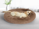 PaWz Pet Bed Dog Beds Mattress Bedding XXL Brown XX-Large JC1058-XXL-TP_NZ