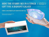Seashell Starry Sky Projector Lamp with Dynamic Water Ripple Aurora Effect, ABS-PC Decorative Night V1341-ZY-CKWED87E-WHITE