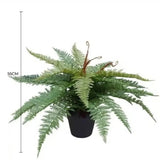 Artificial Potted Fishtail Fern 55cm V637-DP1043026