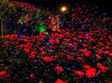 Outdoor Garden Christmas Light Projector 3 Light Colors Red Green Blue Remote Control Waterproof V1294-YM0901-L6719