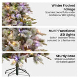 Christabelle Snowy Stamford Spruce 7.5ft Christmas Tree Multi Functional White Coloured LED Lig 112_NATSS75