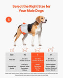 VEVOR Disposable Male Dog Diapers Super Absorbent Male Dog Wraps S 144 Count V952-CWNBFDGG144P3H0UP001V0