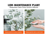 Artificial Eucalyptus Tree, 15.2cm Tall Faux Plant, Secure PE Material & Anti-Tip Tilt Protection V952-RZS6FTAS00006C43AV0