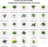 Intelligent Flower Pot, Electronic Bud, Maintenance Plant Assistant, Fun Interactive Flower Pot, V413-SMART-POT-PINK