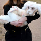 From The Neverending Story Plush Doll toys Gift for Kids and Adluts V1192-AZ-W-33768