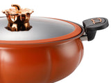 Micro Pressure Cooker Pumpkin Non Stick Multifunctional Soup Pot Gas Stove Universal Kitchen Tool V1294-YM0703-3118230059411