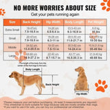 2 Wheels Wheelchair for Back Legs, Pet Wheelchair Lightweight & Adjustable Assisting in Healing, V952-CWLYLLSLLSZHTMYXJV0