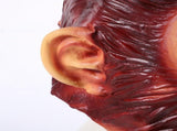 Latex Funny Monkey Headgear Full Face Mask for Costume Party V1370-AZ4-18328