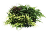 Slimline Artificial Green Wall Disc Art 50cm White Grassy UV Resistant V637-DP9851