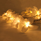 1 Set of 20 LED White Frangipani Flower Battery String Lights Christmas Gift Home Wedding Beach V382-WHFRANGIBATT20